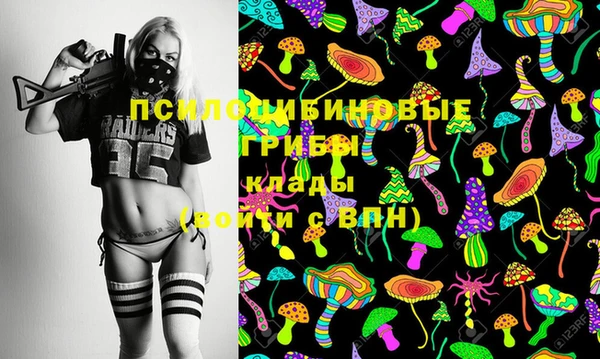 MDMA Няндома