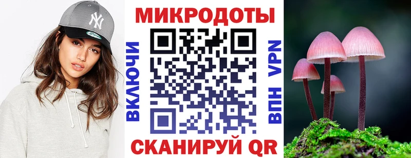 Псилоцибиновые грибы Psilocybe  где продают   Кадников 